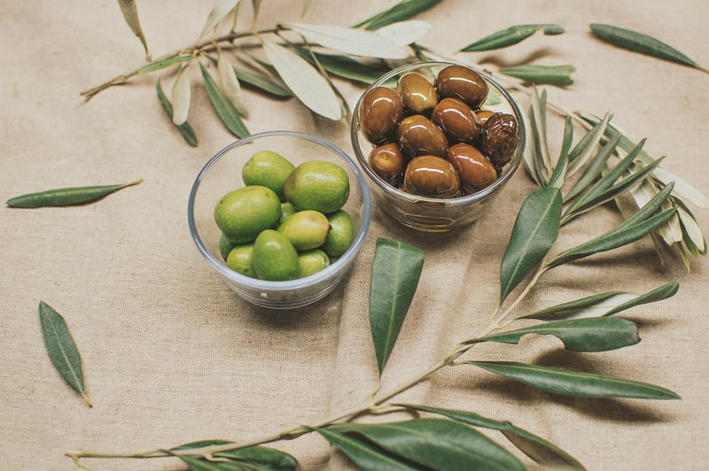 Greek Cuisine